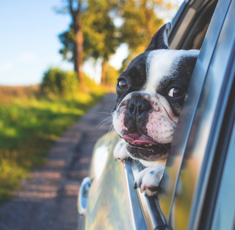 How to Customize Your Car on a Budget